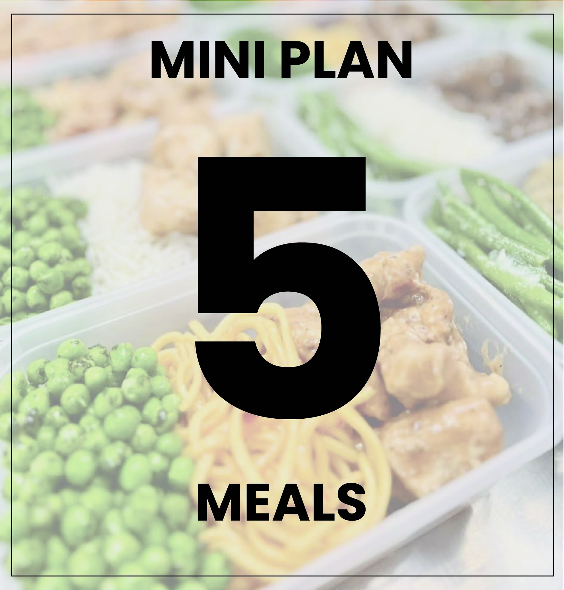 Mini 5 Meal Plan